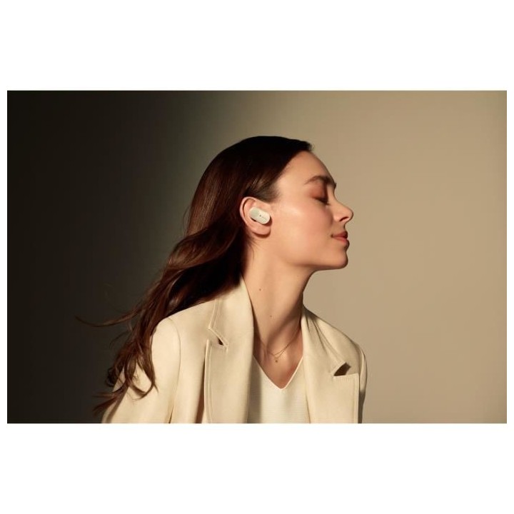 Sony WF-1000XM3 - Ecouteurs Bluetooth a Réduction de Bruit True Wirel