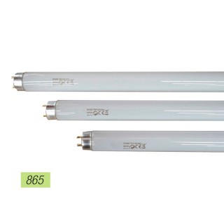 Carte postale microlorge