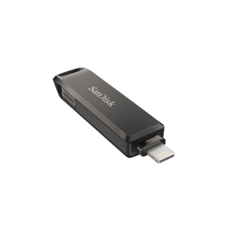 Clé USB SanDisk SDIX70N-256G-GN6NE Noir