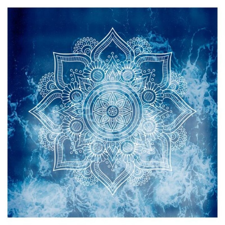 Carte postale microlorge