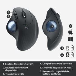 Souris Ergonomique - Sans fil - LOGITECH - ERGO M575 - Trackball - Graphite