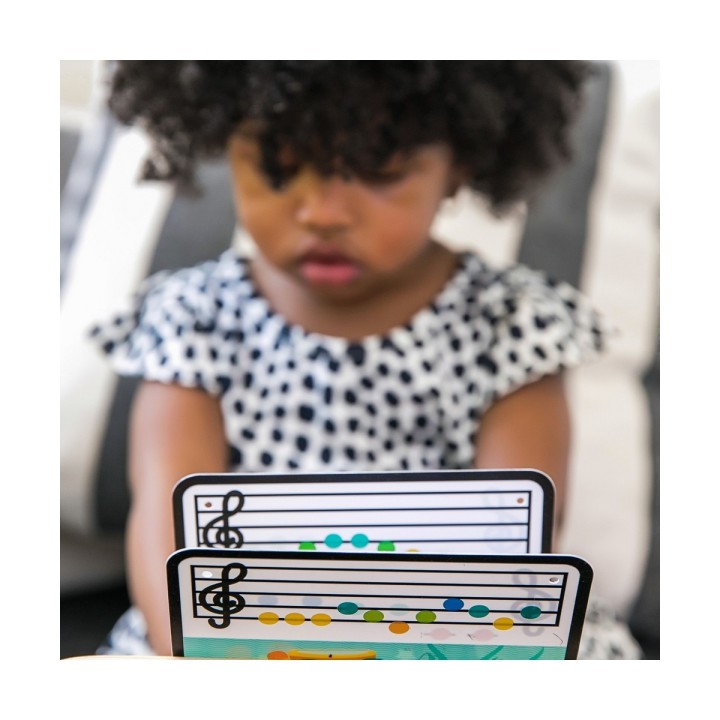 Carte postale microlorge