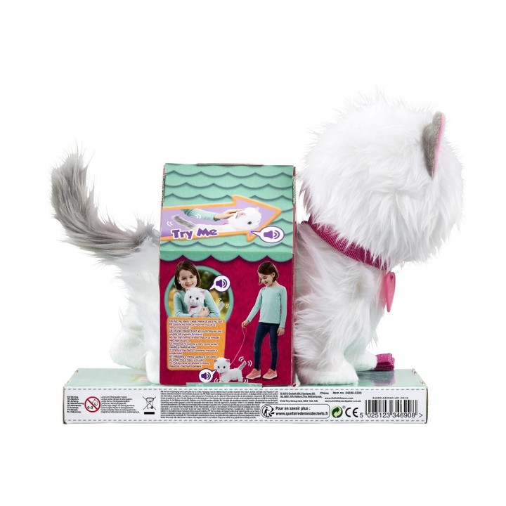 Carte postale microlorge