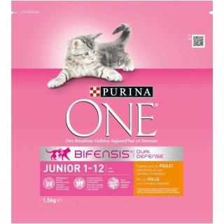 PURINA ONE Junior - Croquettes au poulet et aux céréales completes -