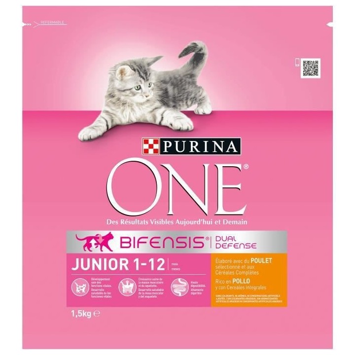 PURINA ONE Junior - Croquettes au poulet et aux céréales completes -