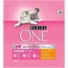 PURINA ONE Junior - Croquettes au poulet et aux céréales completes - Pour chaton de 1 a 12 mois - 1,5 kg