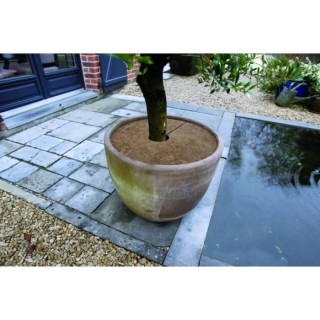 NATURE Lot de 3 disques de plantation en coco - Ø 30 cm - Epaisseur +