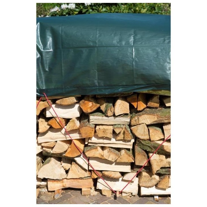 Nature Bâche a bois de chauffage 5x6 m PE Vert