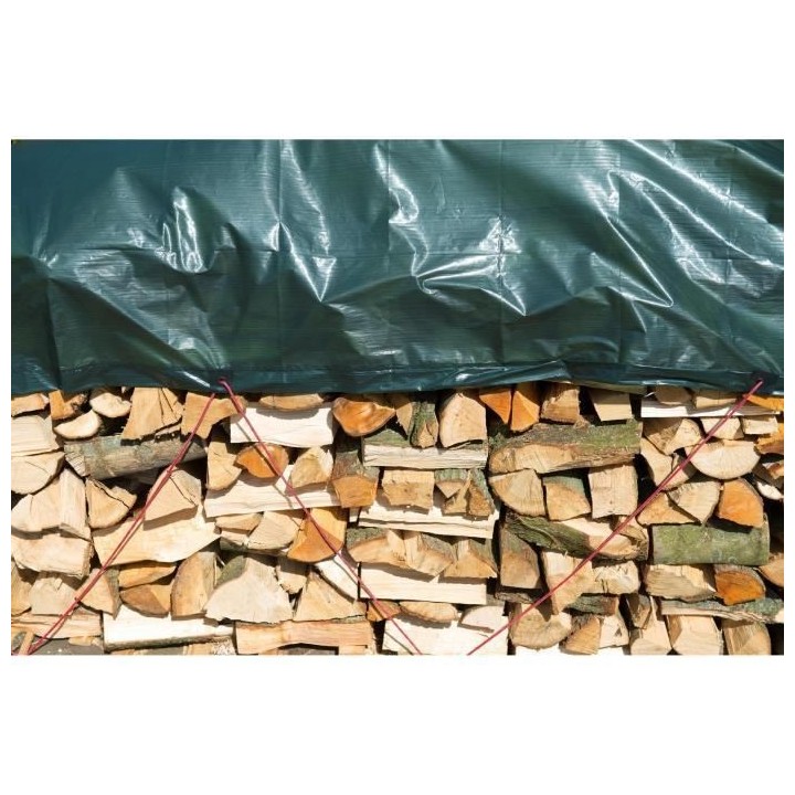 Nature Bâche a bois de chauffage 5x6 m PE Vert