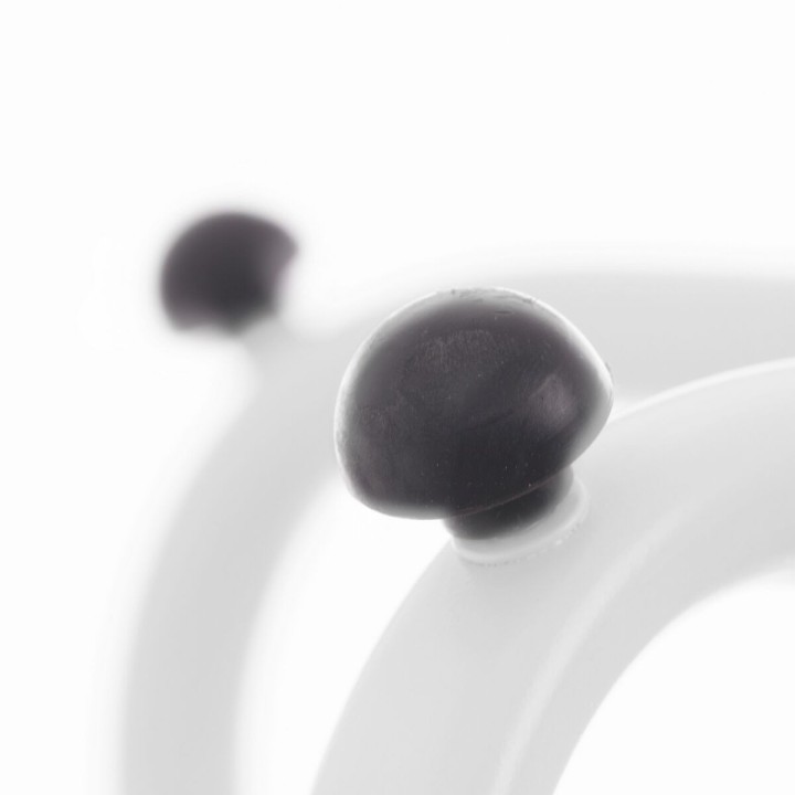 Carte postale microlorge