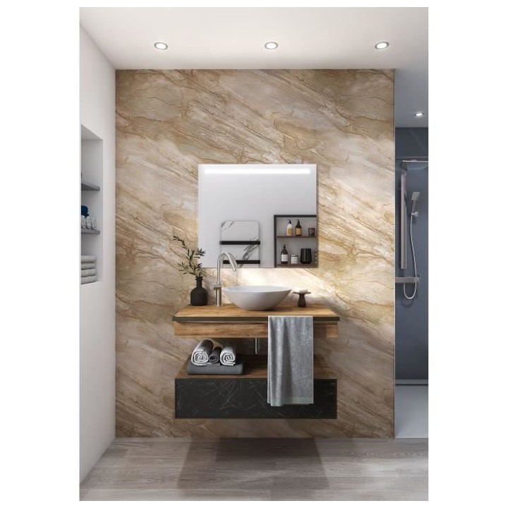AURYS - Miroir SERENITY - 700*1200 - 4 mm