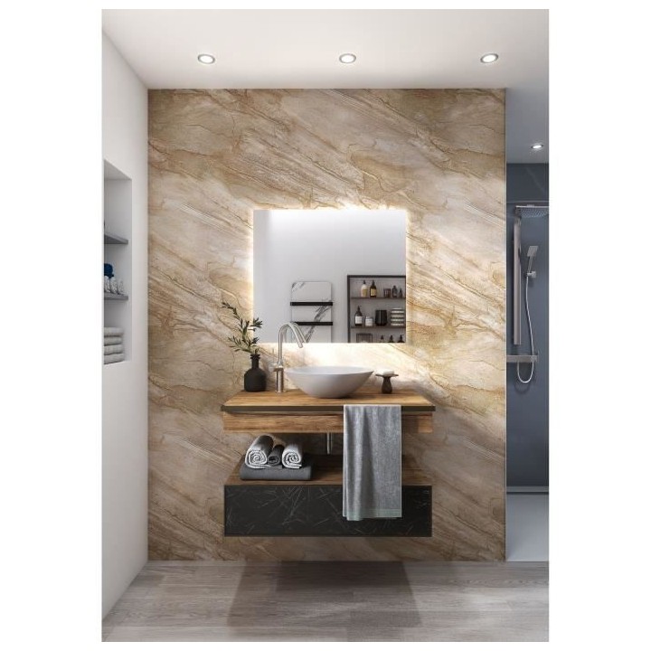 AURYS - Miroir AMBILITE - 700*800 - 4 mm