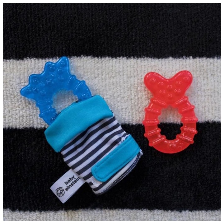 BABY EINSTEIN chilly mitt™ universal teether mitten