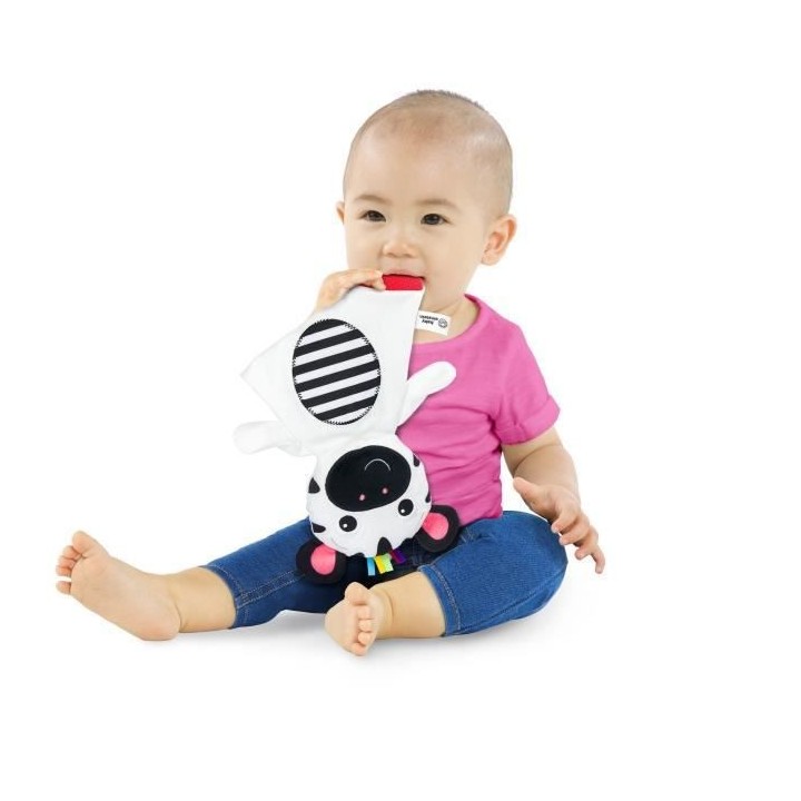 BABY EINSTEIN sensory plush