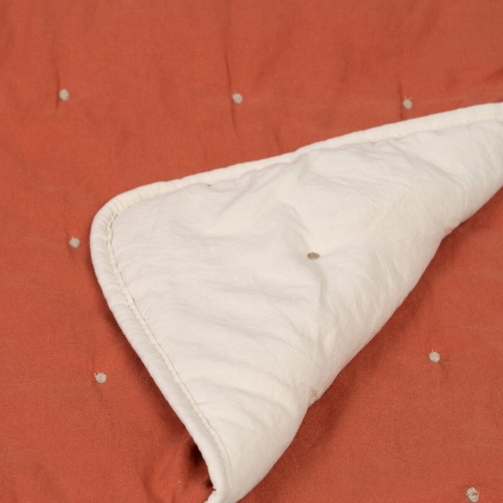 Carte postale microlorge