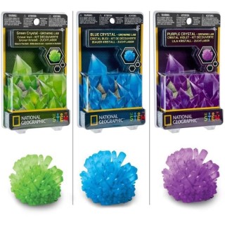 BANDAI National Geographic - Mini Kit Cristal - modele aléatoire