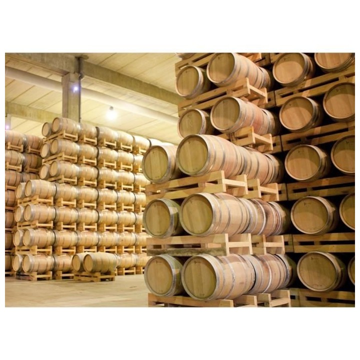 Baron de Lestac 2019 Bordeaux - Vin rouge de Bordeaux - Terra Vitis