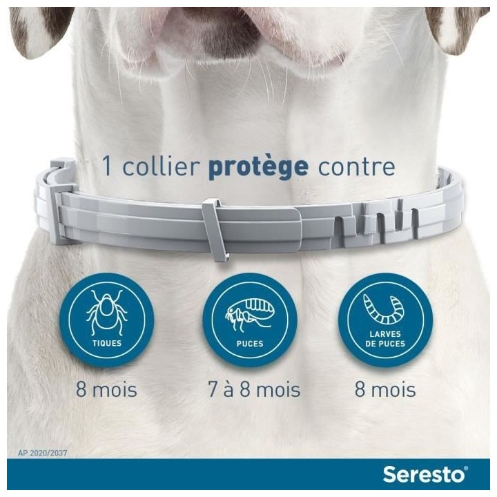 Seresto Chien Collier Anti-Puces et Anti-Tiques +8kg 1 unité