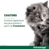 Advantage Solution Antipuce Chat Lapin 1 a 4kg 4 pipettes