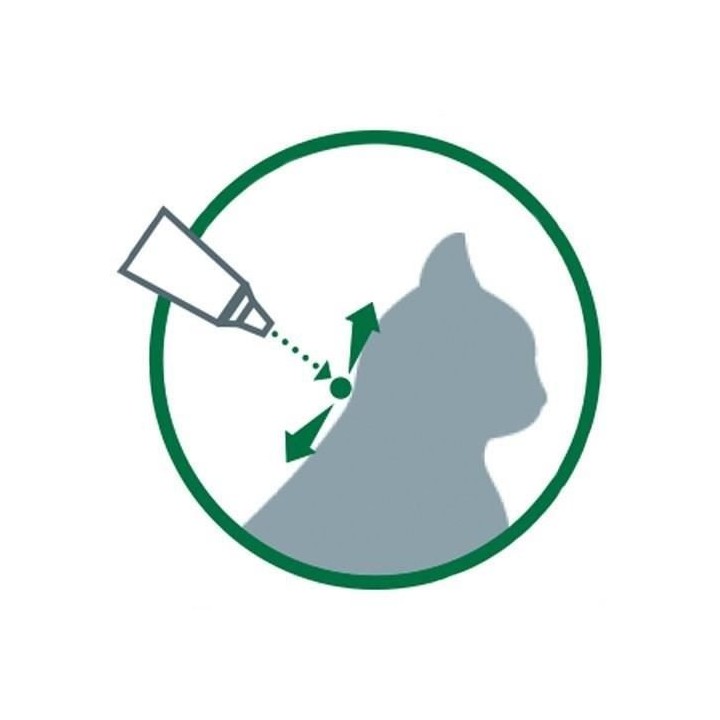 Advantage Solution Antipuce Chat Lapin +4kg 4 pipettes