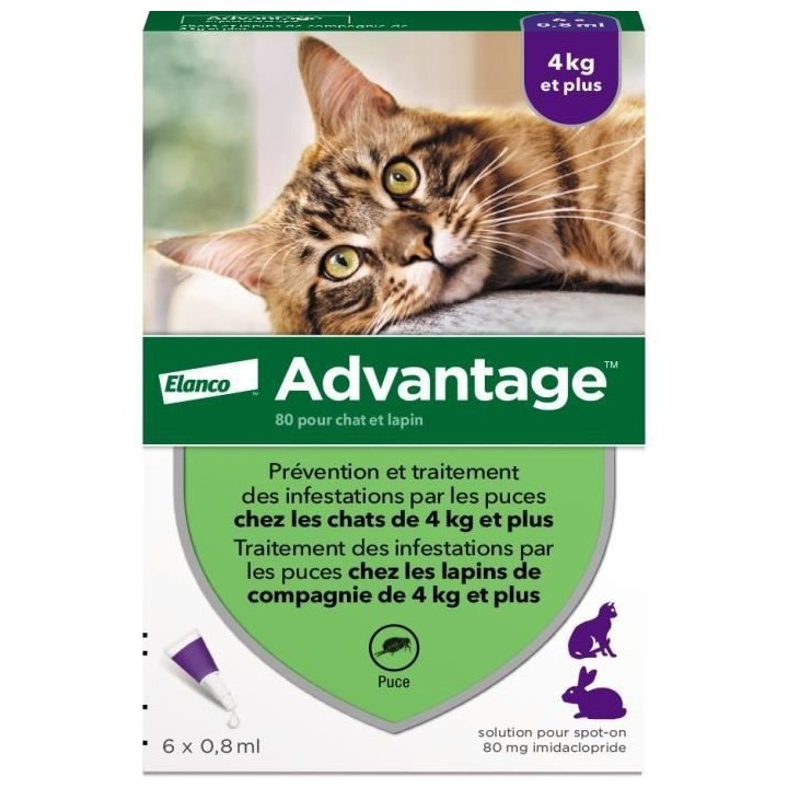 Advantage Solution Antipuce Chat Lapin +4kg 6 pipettes