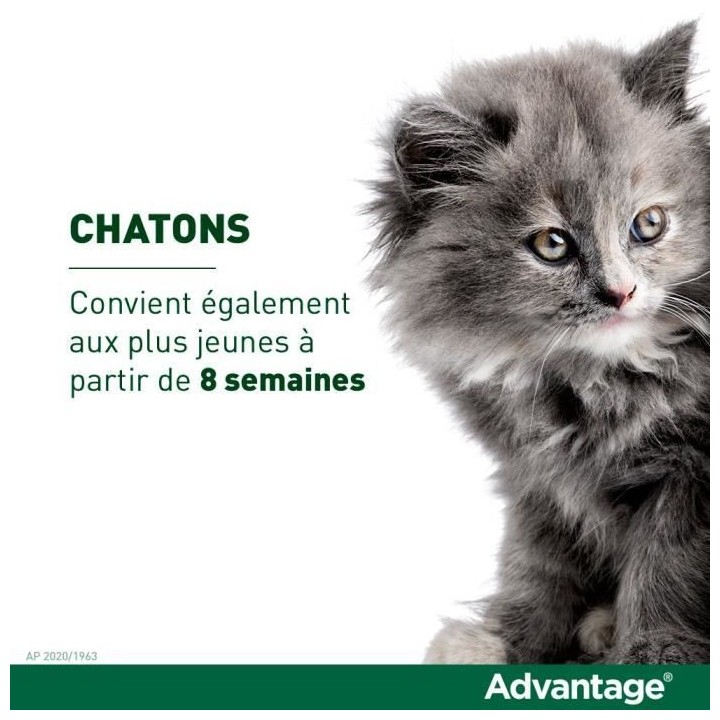 Advantage Solution Antipuce Chat Lapin +4kg 6 pipettes