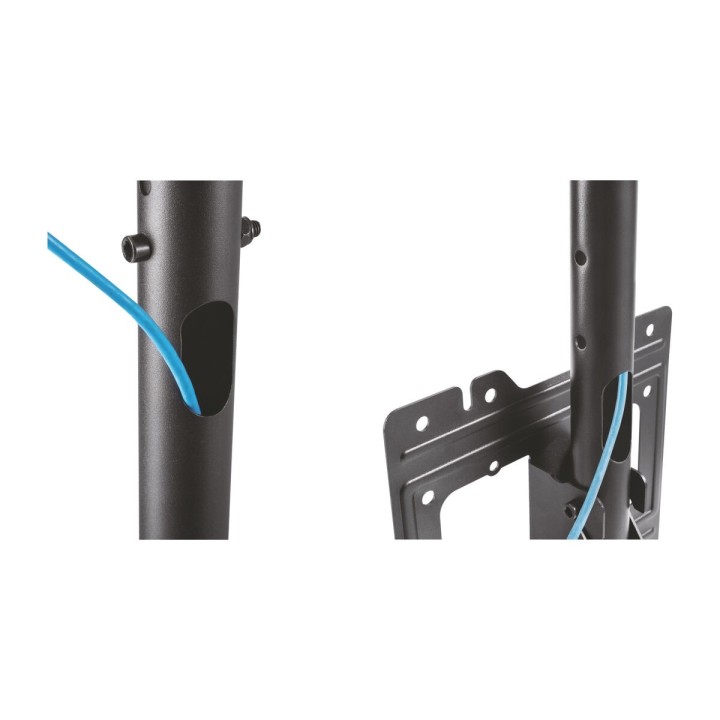 image imprimée ou numérique