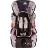 Siège de Voiture Winnie The Pooh CZ10593 9 - 36 Kg Gris ISOFIX