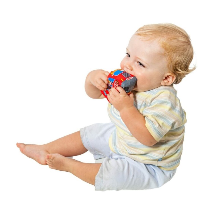 Carte postale microlorge