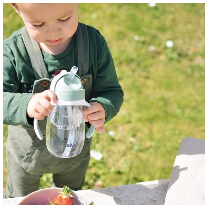 BEABA, Biberon/Tasse d'apprentissage /Tasse paille 300 ml, Vert sauge