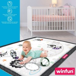 Tapis de jeu Winfun Classic (2 Unités)