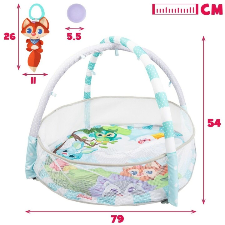 Carte postale microlorge