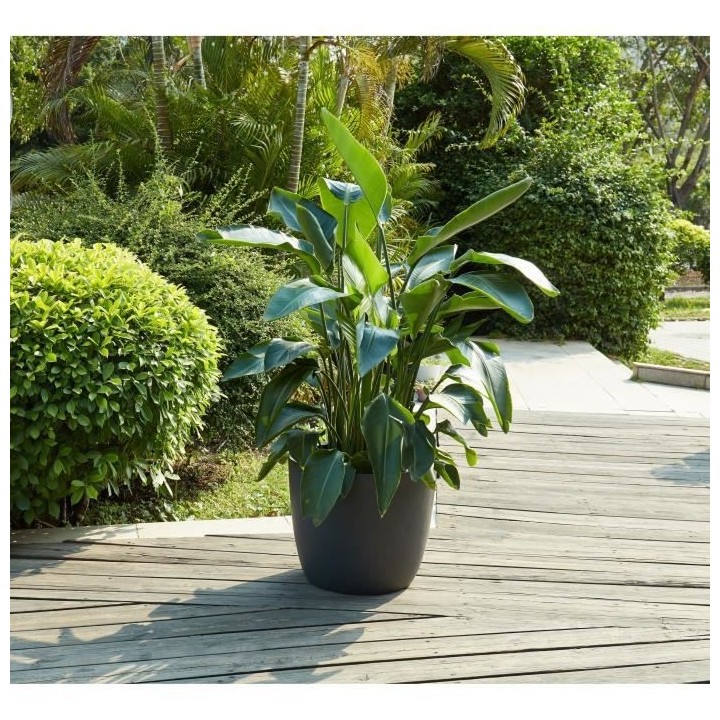 Pot rond en fibre de verre - 50 x 42m - Gris anthracite