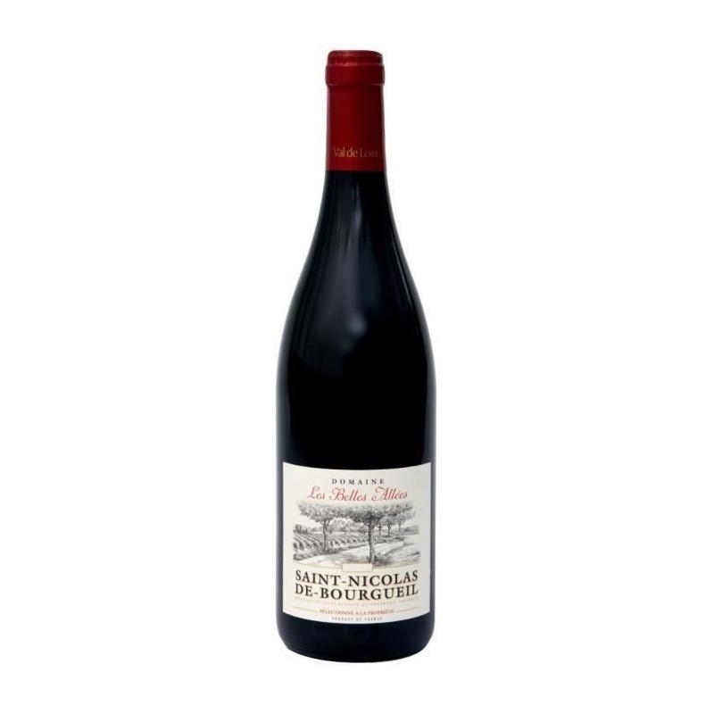 Domaine Les Belles Allées 2020 Saint-Nicolas de Bourgueil - Vin rouge de la Val de Loire