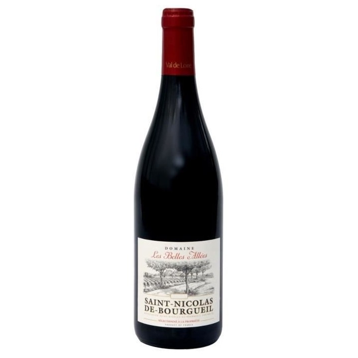 Domaine Les Belles Allées 2020 Saint-Nicolas de Bourgueil - Vin rouge