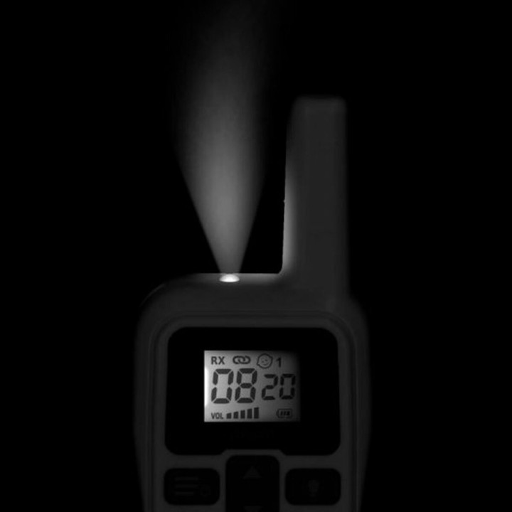 Carte postale microlorge