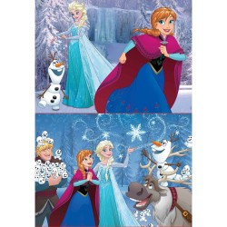 Set de 2 Puzzles   Frozen Believe         48 Pièces 28 x 20 cm  