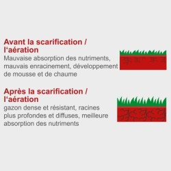 Scarificateur électrique de 32 cm - 1500 W – SCHEPPACH (SC32)