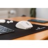 Souris sans fil - BLUESTORK - 2.4 GHz - 5 boutons - Blanc - M-WL-R2-W