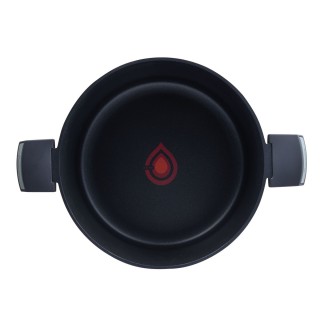 Carte postale microlorge