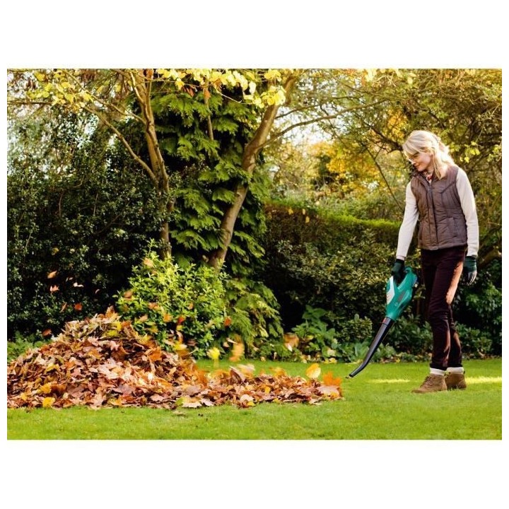 Souffleur sans fil Bosch – ALB 18 LI (1 batterie 18 V 2,5 Ah, 210 km