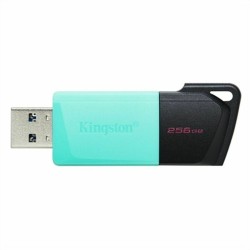 Clé USB Kingston DTXM/256GB...