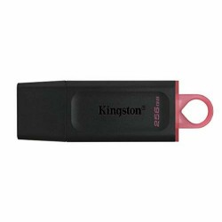 Clé USB Kingston DTX/256GB...