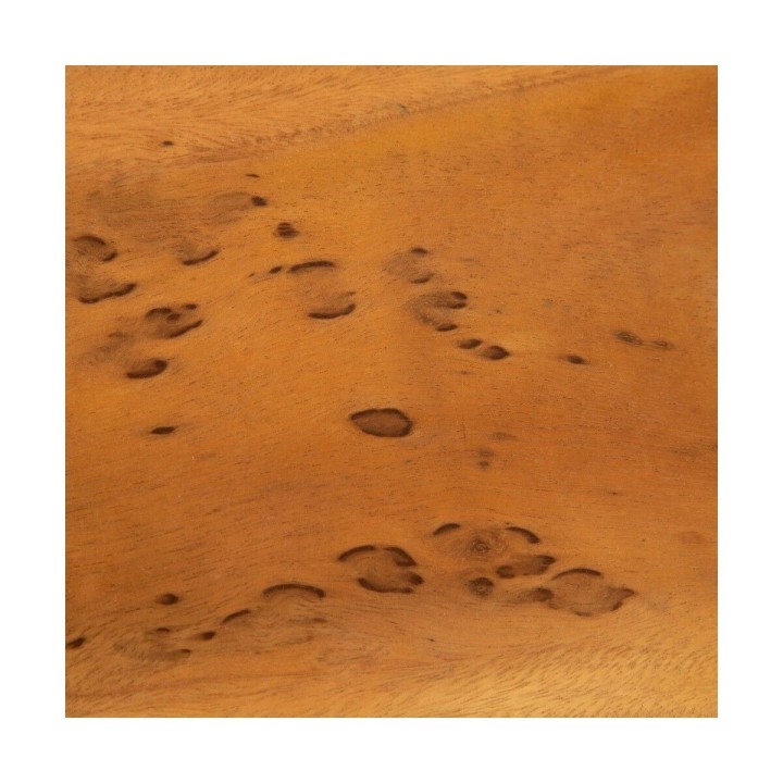 Carte postale microlorge