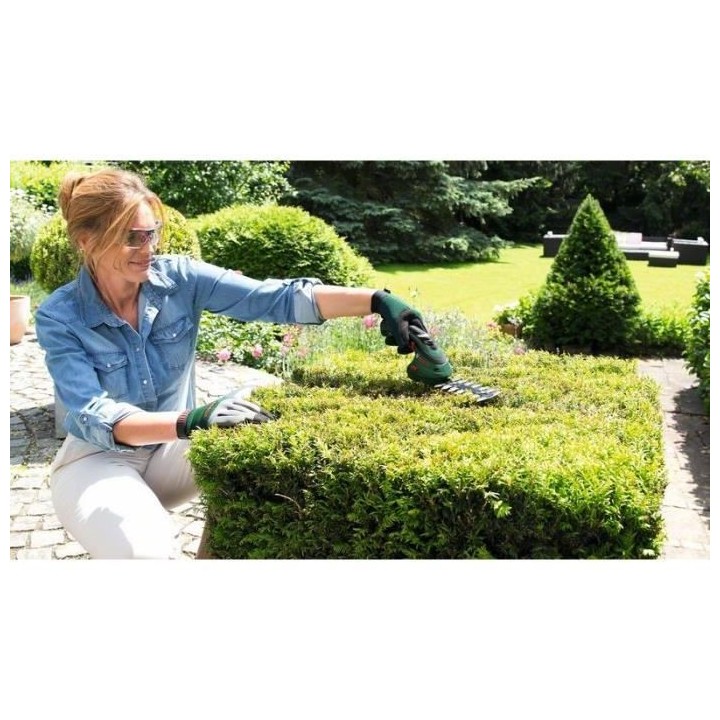 Set 2 lames Isio Bosch