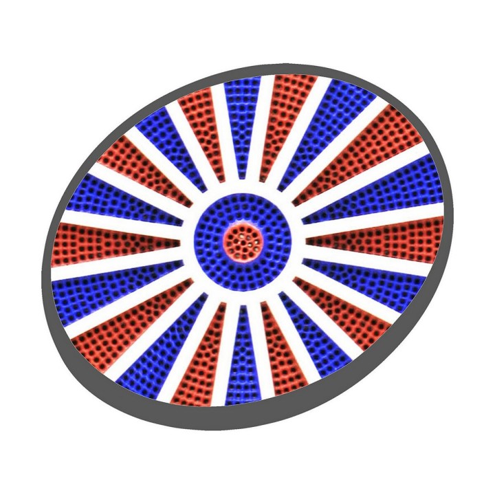 Carte postale microlorge