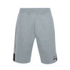 Short de Sport pour Homme Le coq sportif Essentiels N°1 Gris clair