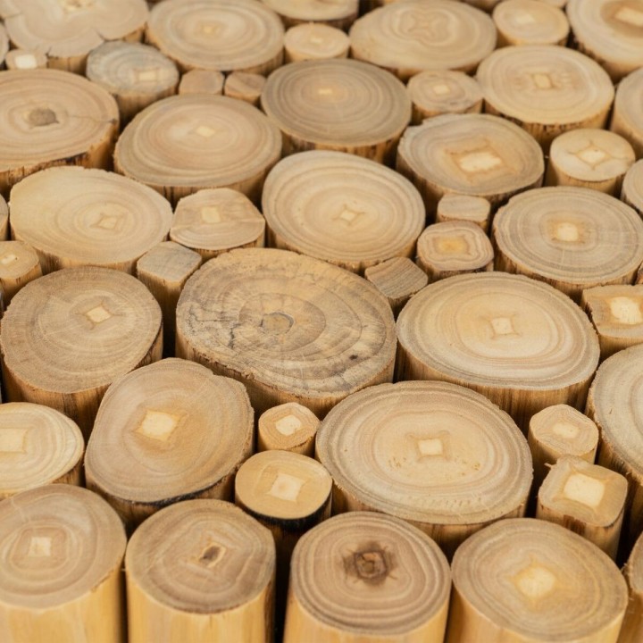 Carte postale microlorge