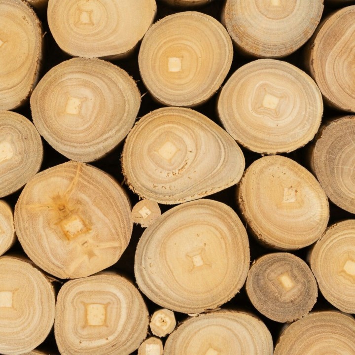 Carte postale microlorge