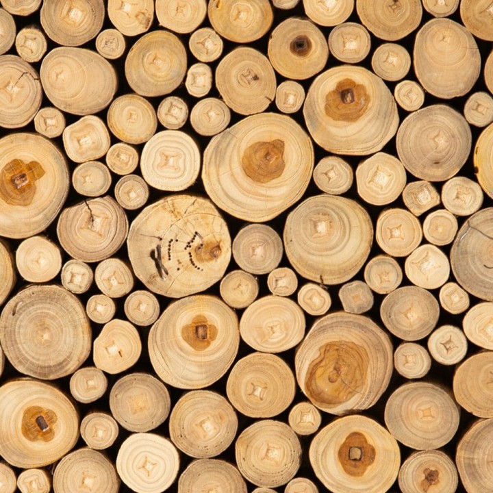 Carte postale microlorge